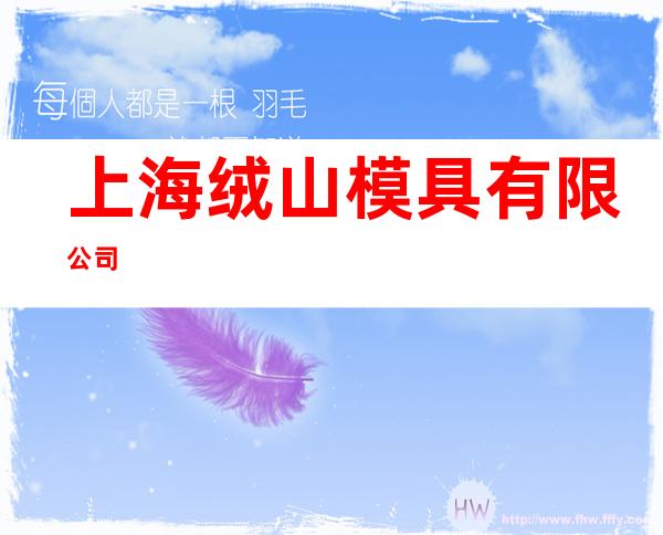 上海绒山模具有限公司