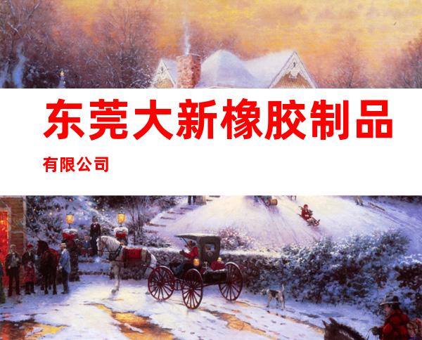 东莞大新橡胶制品有限公司