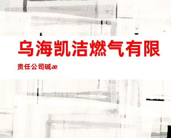 乌海凯洁燃气有限责任公司碱柜液化天然气加注站
