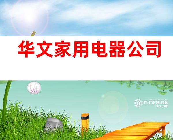华文家用电器公司