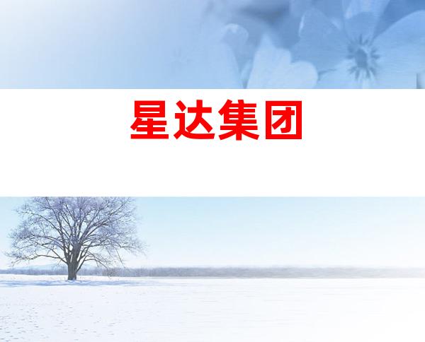 星达集团