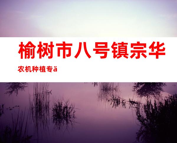 榆树市八号镇宗华农机种植专业合作社