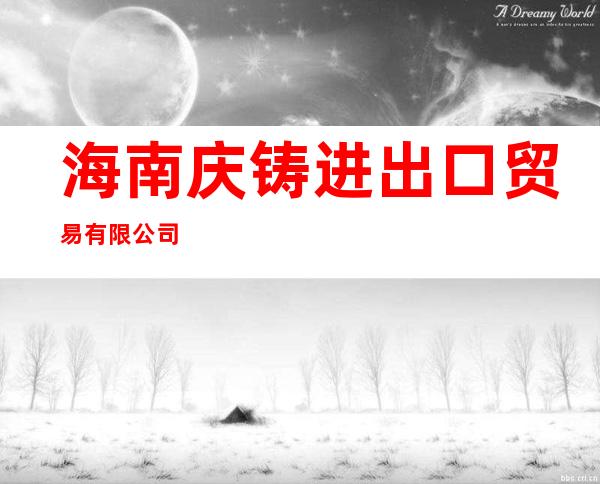 海南庆铸进出口贸易有限公司